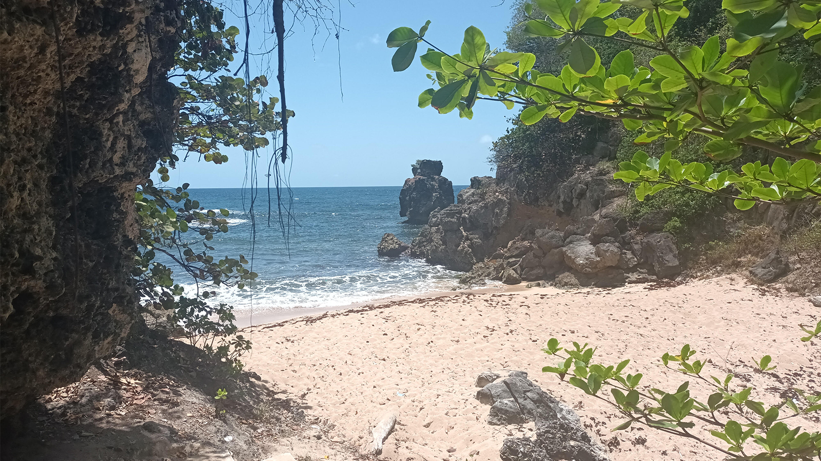 Photo of the Week: Archer’s Bay, Barbados