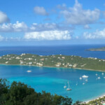 caribbean film