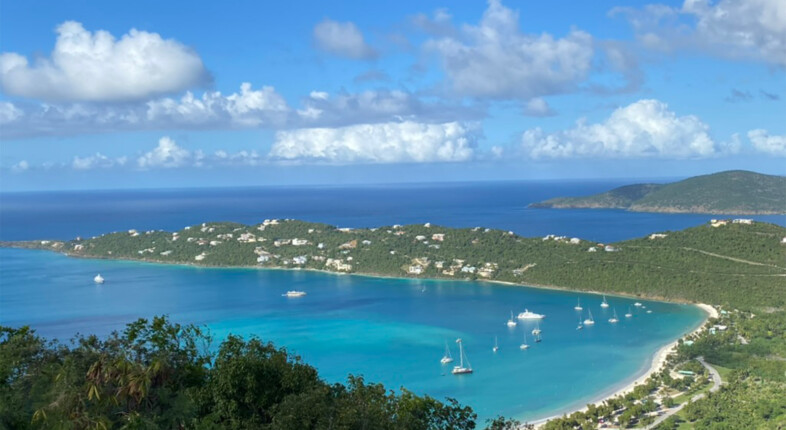 caribbean film