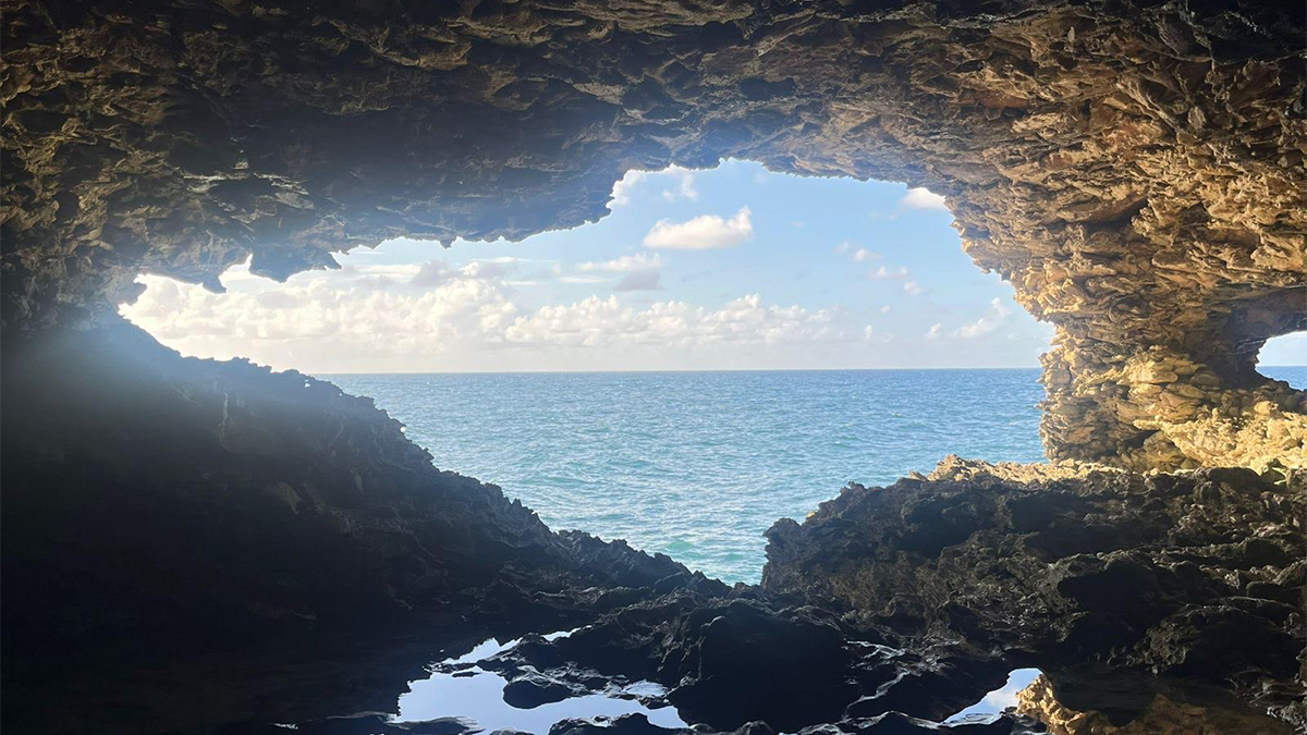 Caribbean Photo of the Week: The Animal Flower Cave in Barbados