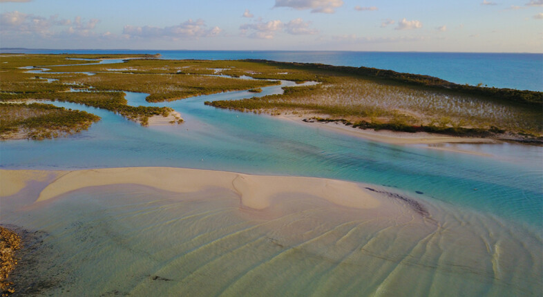 cat island in the bahamas