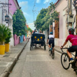 caribbean cycline