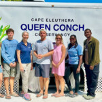 bahamas queen conch