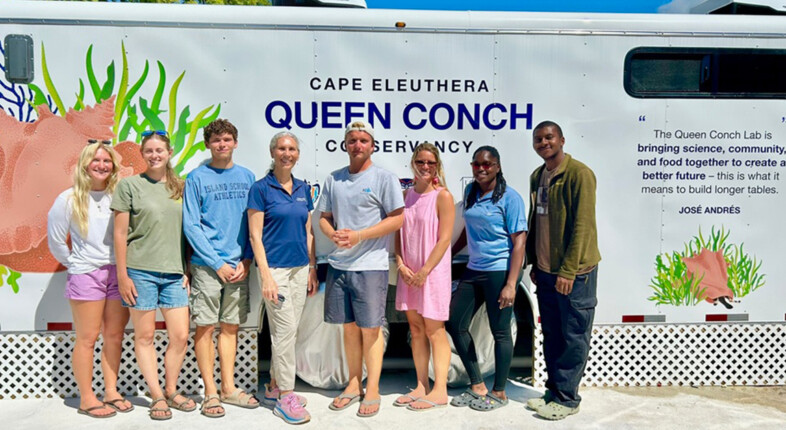 bahamas queen conch