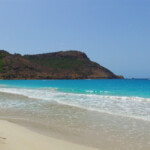 caribbean rum