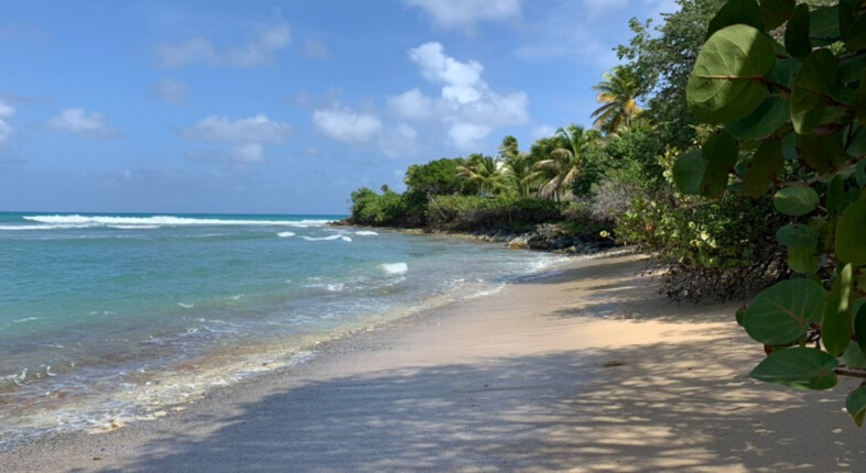 st croix beach shoys
