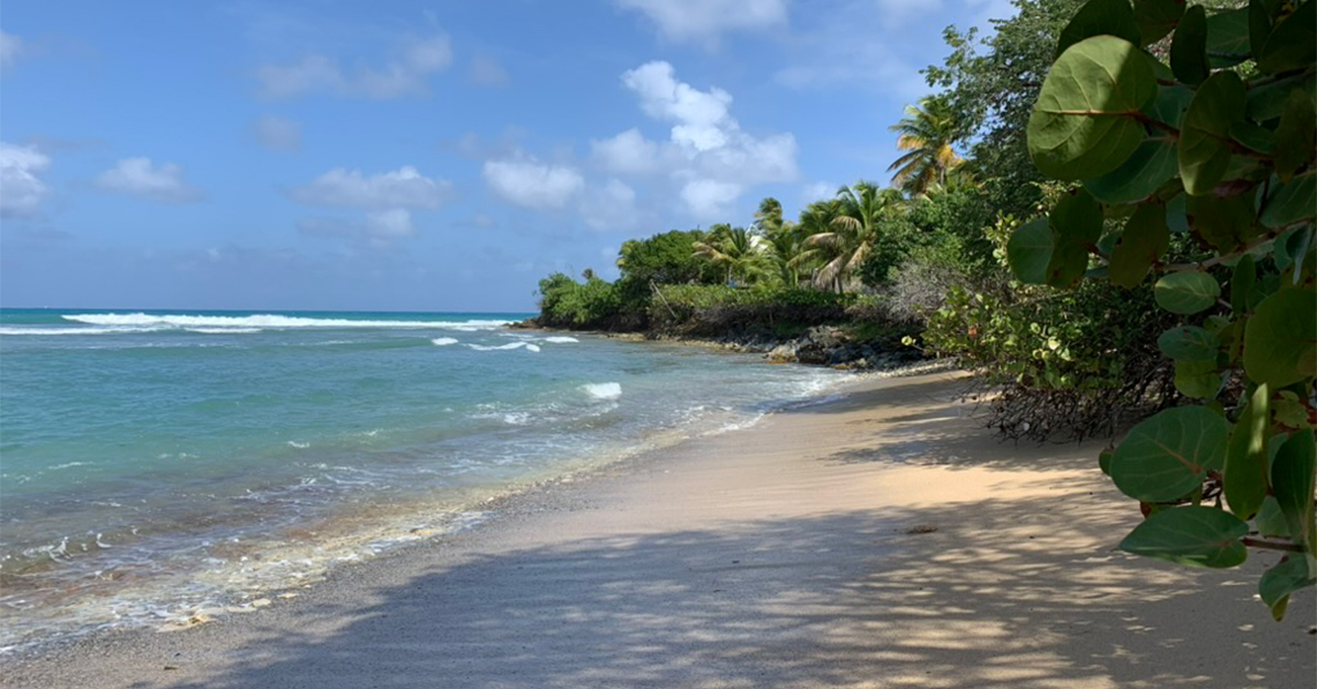 There’s a St. Croix Beach No One Tells You About, With a Mangrove Tunnel, Great Snorkeling, and Postcard-Perfect Sand