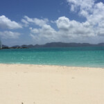 anguilla growth