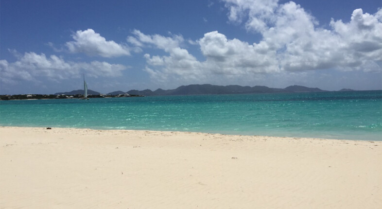anguilla growth