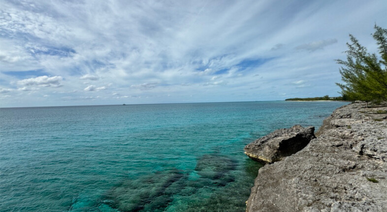 bahamas diving