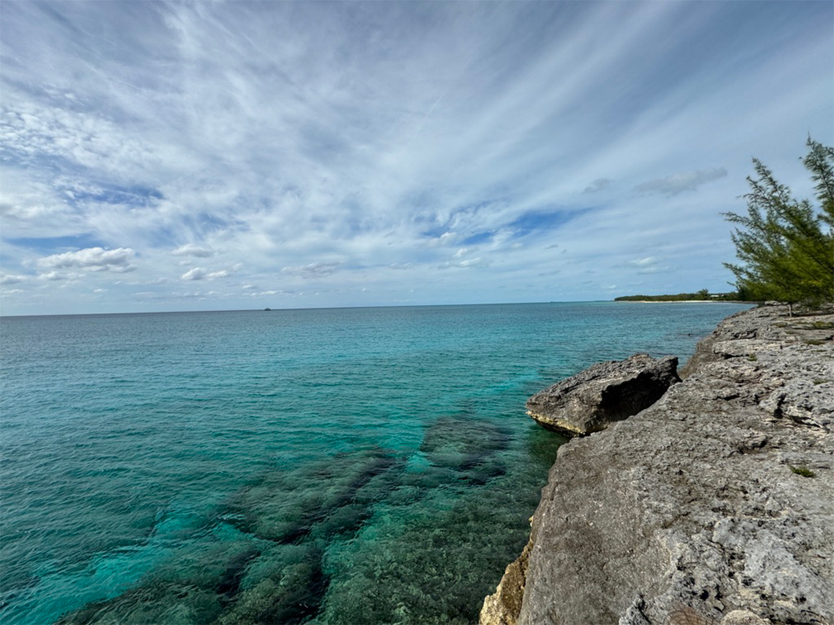 This Resort Is the Best Dive Destination in The Bahamas, With Shark Encounters, Blue Holes, Coral Walls, and No Crowds