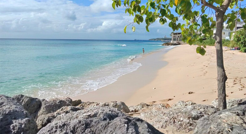 barbados things to do