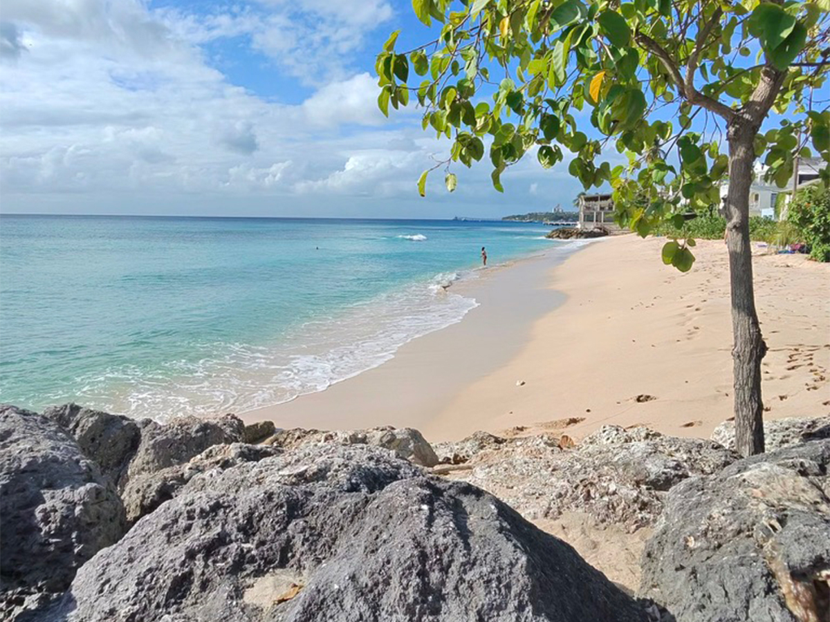 Barbados Is an Island That’s Filled With Cool Things to Do Right Now, From Mangrove Boardwalks to Rum Beach Clubs to Fish Cakes