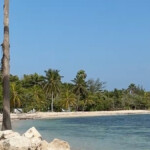 jamaica storied resort