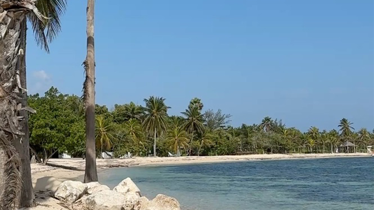 In Jamaica, a Storied Luxury Resort Finds Its Way Back