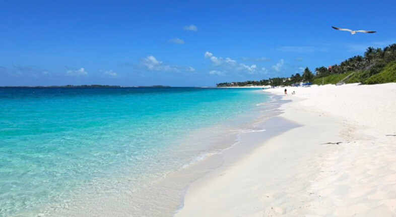 cabbage beach paradise island