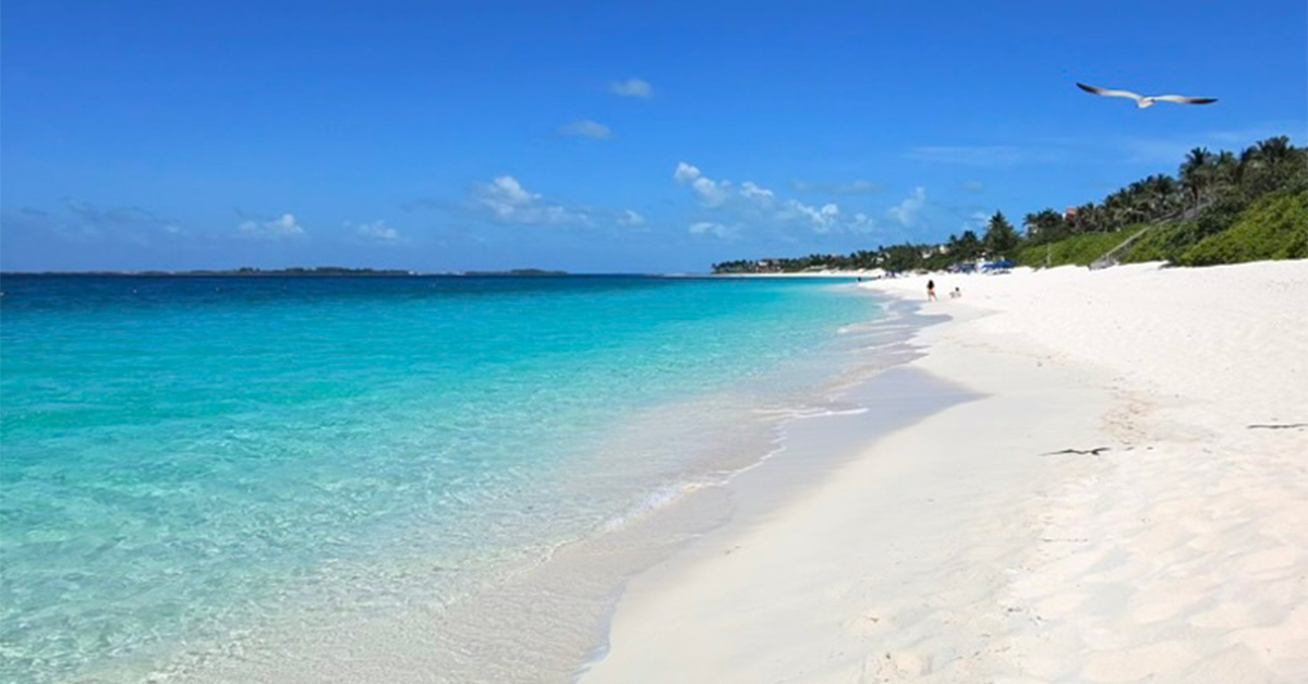 How Much It Costs to Fly From New York to the Caribbean Right Now, and Why a Nassau Paradise Island Vacation Makes So Much Sense