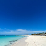 bimini island in the bahamas