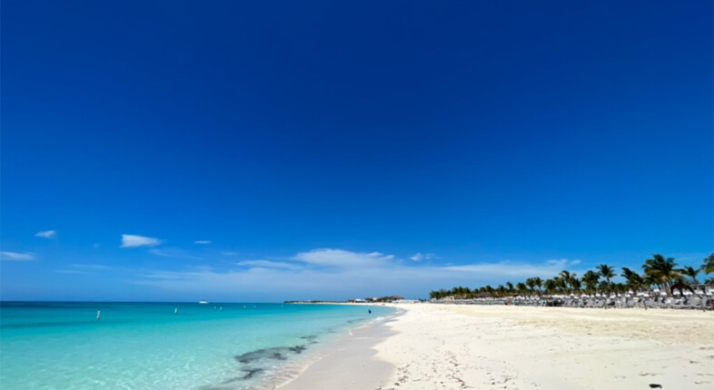bimini island in the bahamas