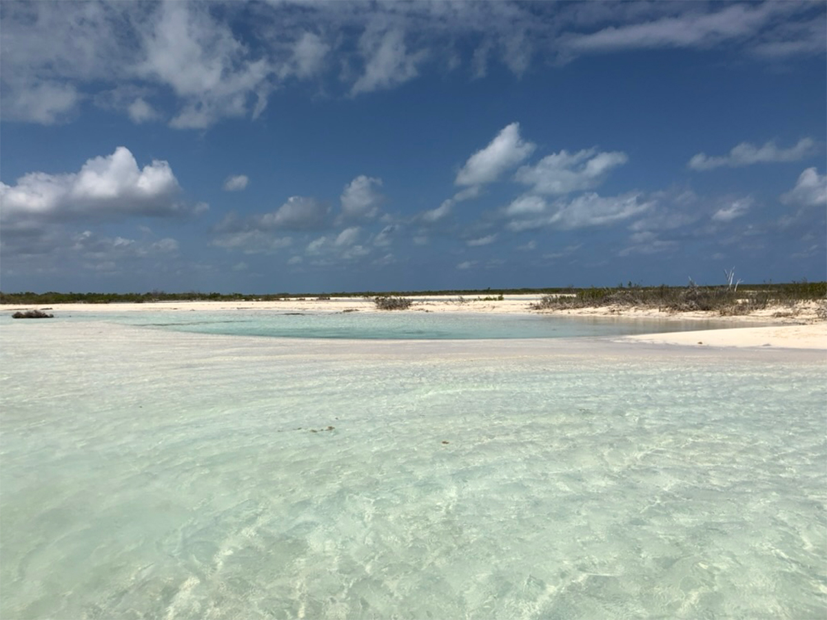 11 Caribbean Vacations You’ve Never Thought of Taking, From a Rainforest Rum Distillery to a 300-Year-Old Dockyard