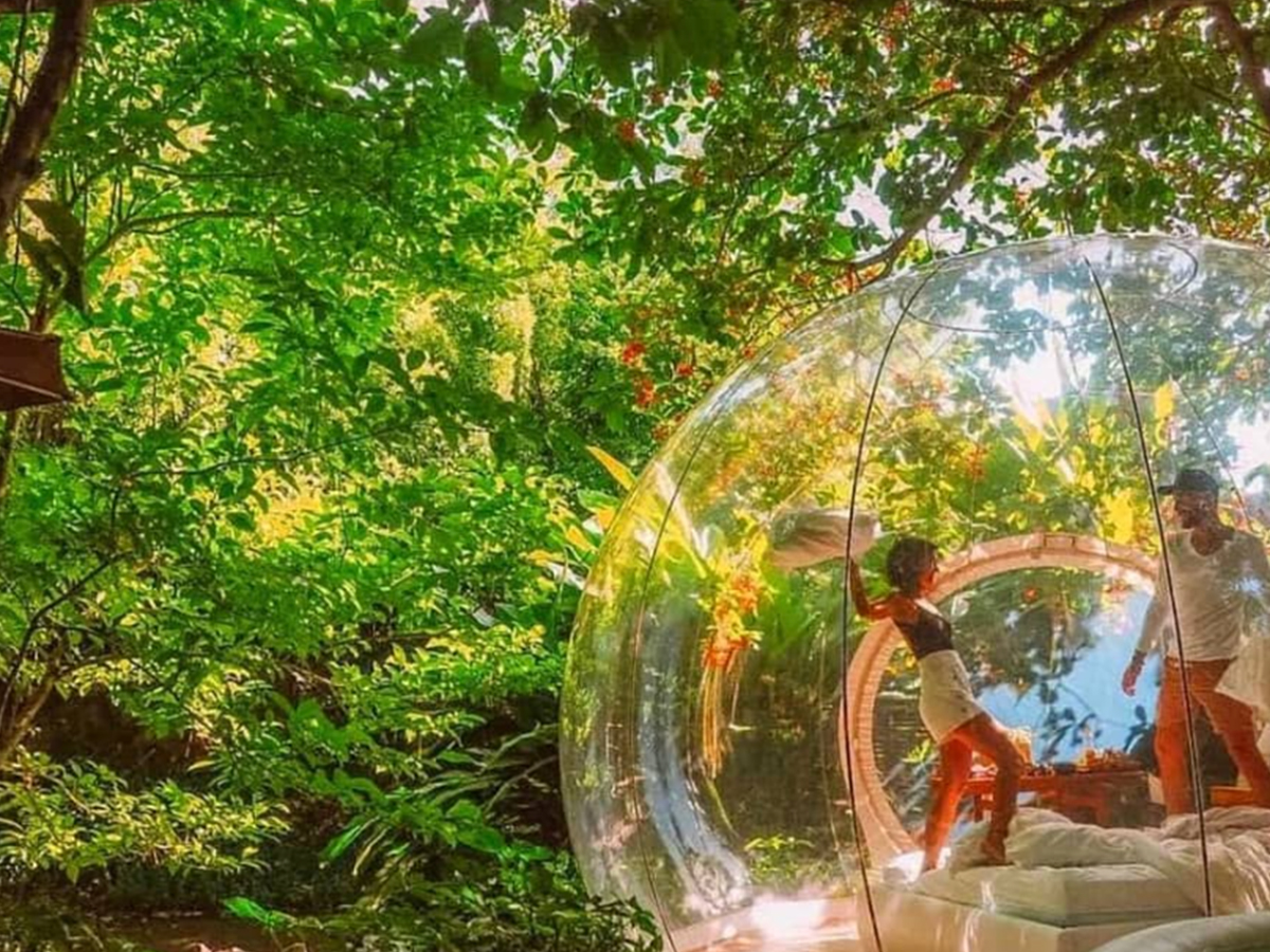 On This Caribbean Island, You Can Stay in a Transparent Bubble Hotel in the Trees