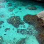 negril jamaica