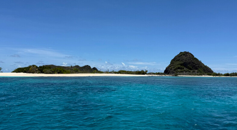 caribbean islands grenadines