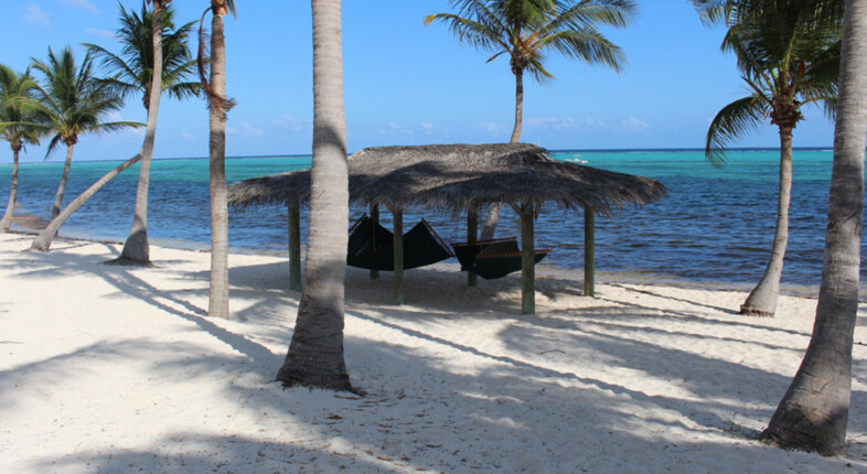 caribbean island of little cayman