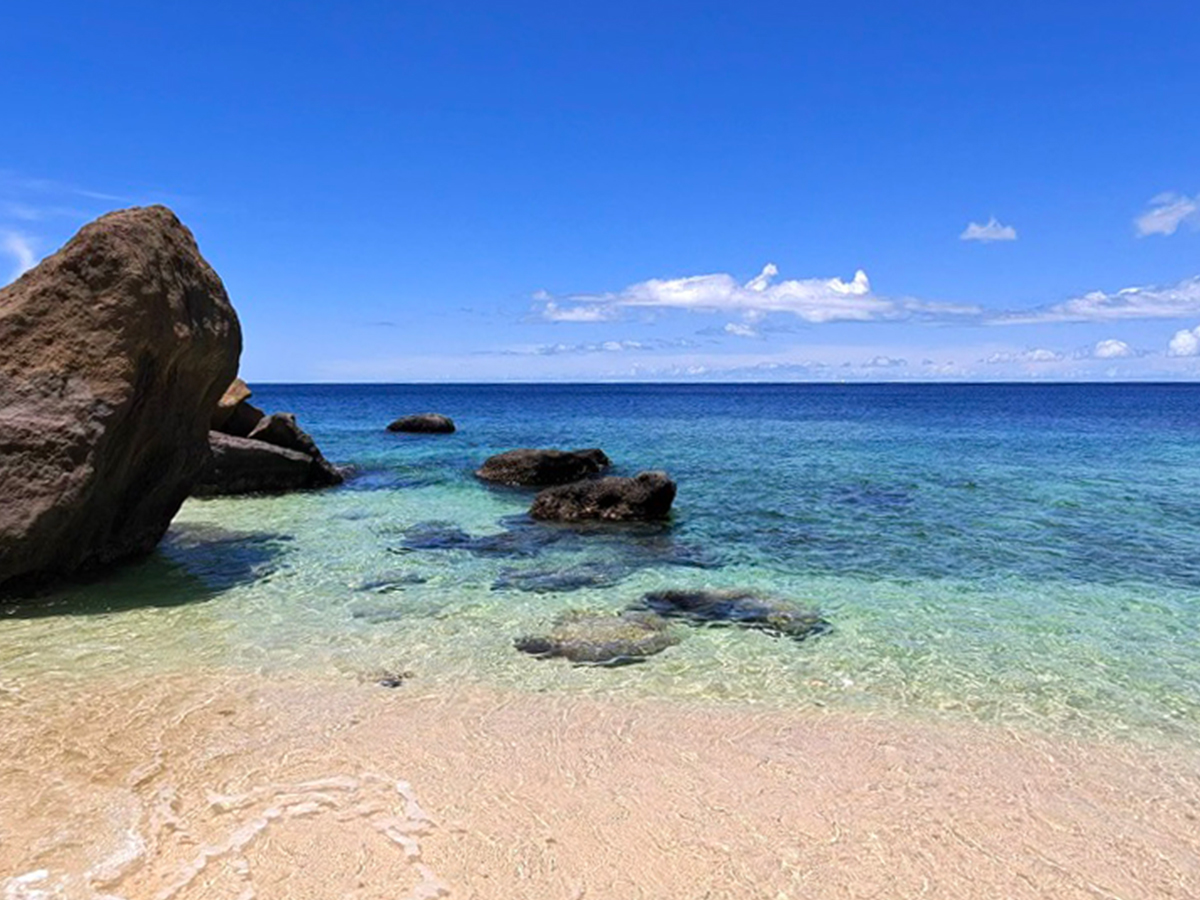 This Hidden Grenada Beach Is Just Minutes From the Airport, With Golden Sand, Snorkeling, and a Legendary Lunch Spot