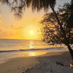 miami beach in barbados