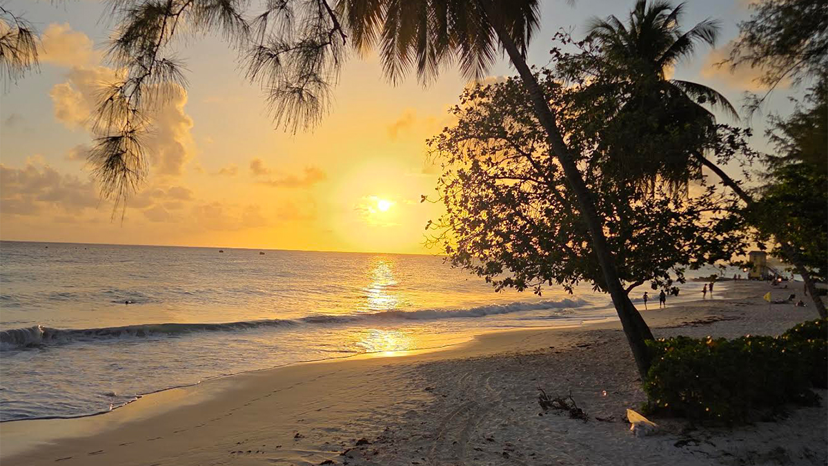 Photo of the Week: Miami Beach, Barbados