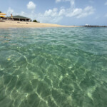 caribbean island nevis