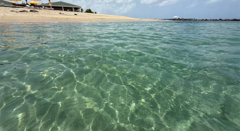 caribbean island nevis