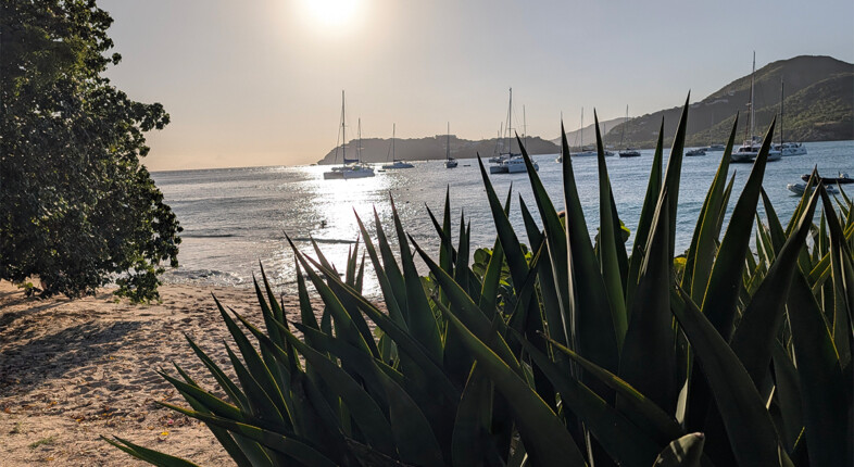 pigeon point antigua