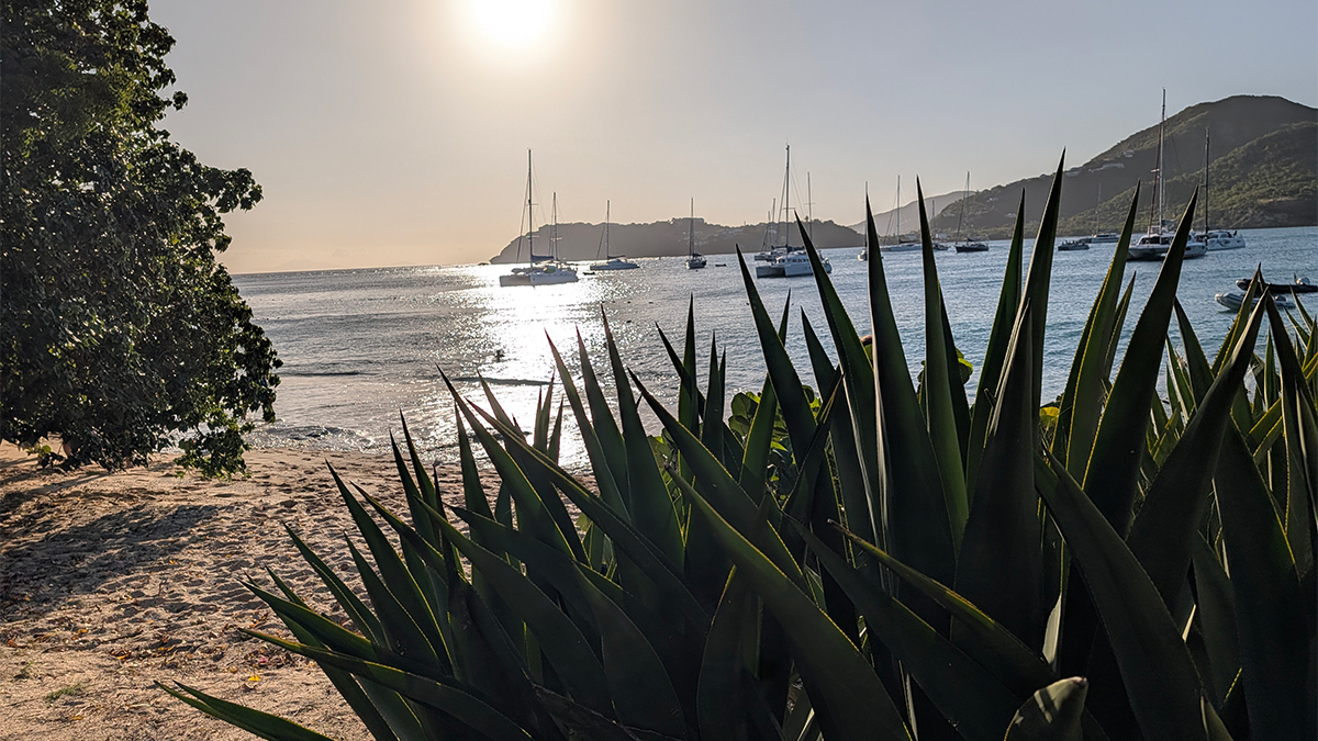 Photo of the Week: The Light on Pigeon Point Beach in Antigua