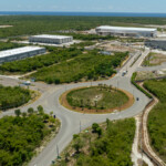 punta cana free trade