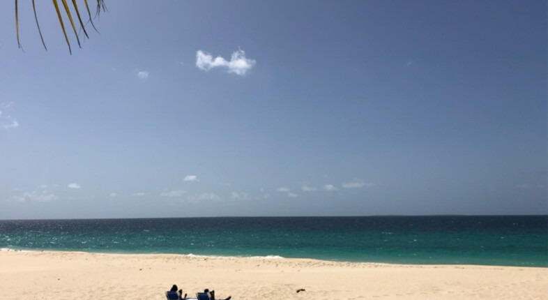 Virtuoso Says Anguilla, Turks and Caicos, St. Barth, Antigua and Barbuda, and the Cayman Islands Are Leading Festive Travel