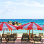 palmetto beach club