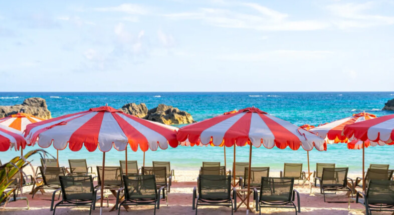 palmetto beach club