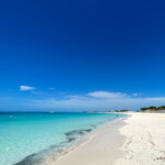 westgate bahamas