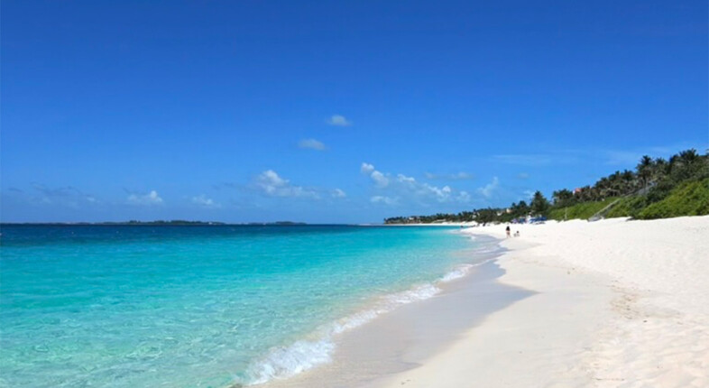 cabbage beach