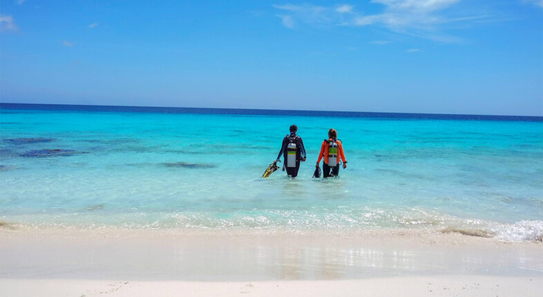 caribbean diving shore