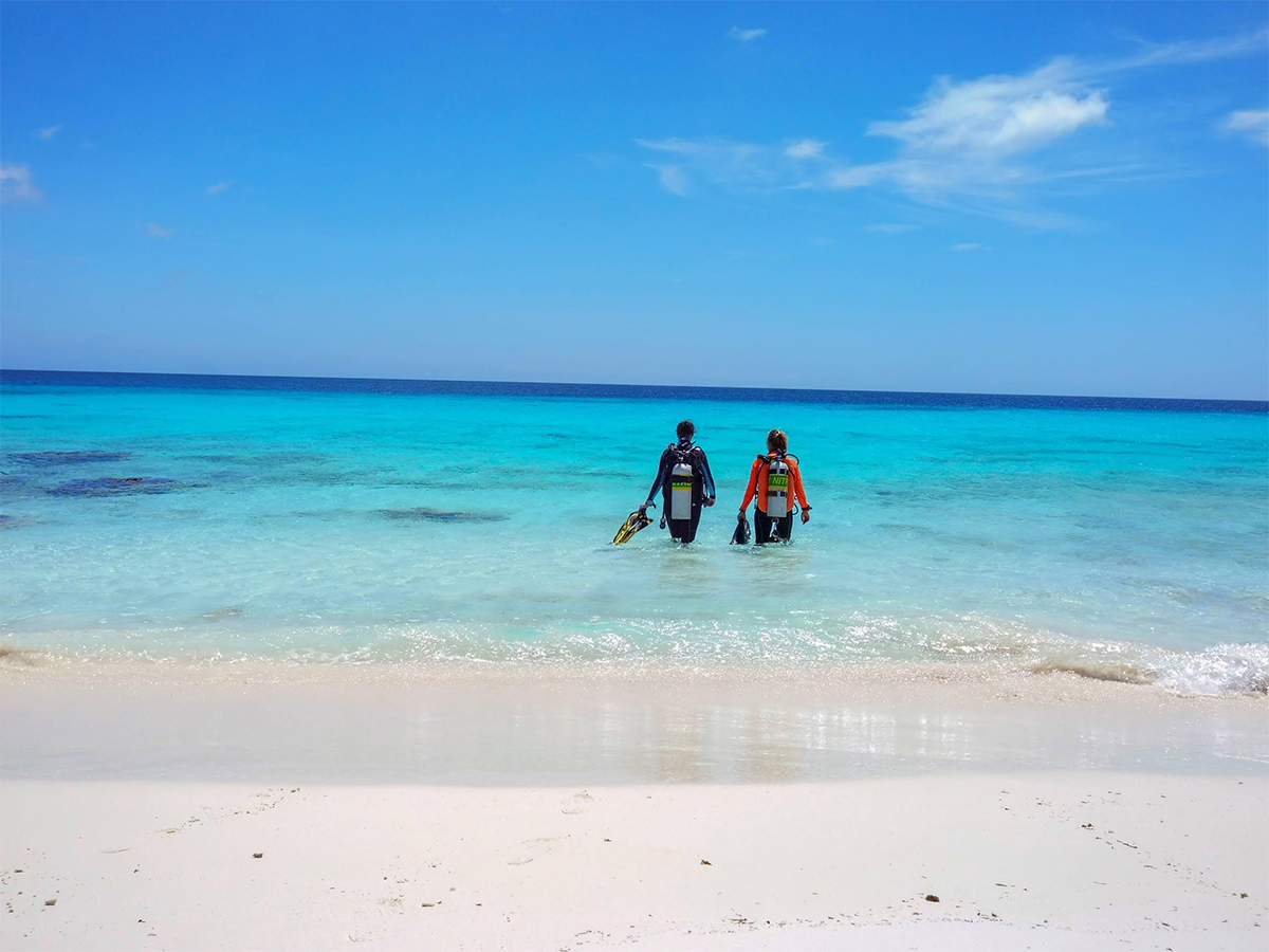 This Caribbean Island Is Famous for Shore Diving. Now There’s a Course Designed to Help You Do It Right.