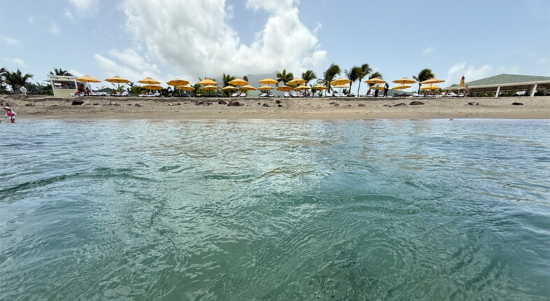 pinneys beach nevis
