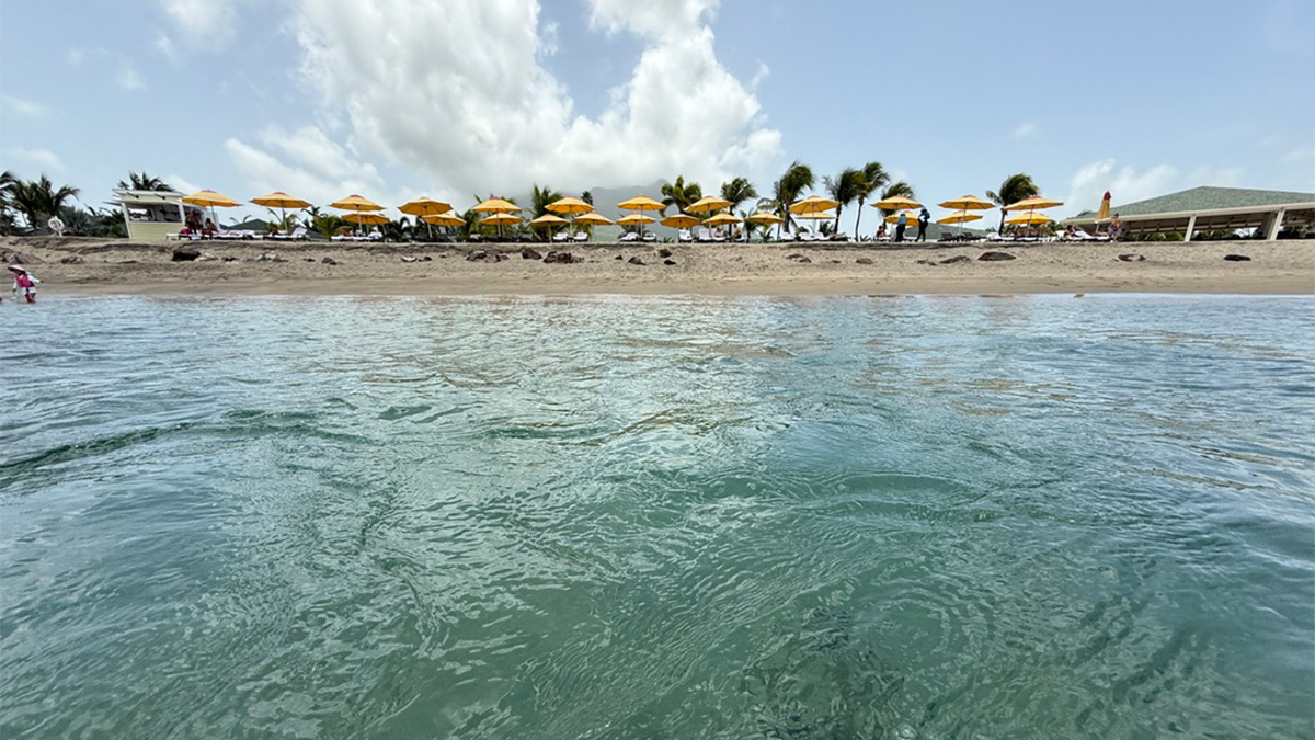 How One Caribbean Beach Became a Haven for Rum Punches, Seafood, and Toes-in-the-Sand Bars