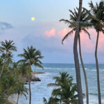 humacao reader photo in puerto rico