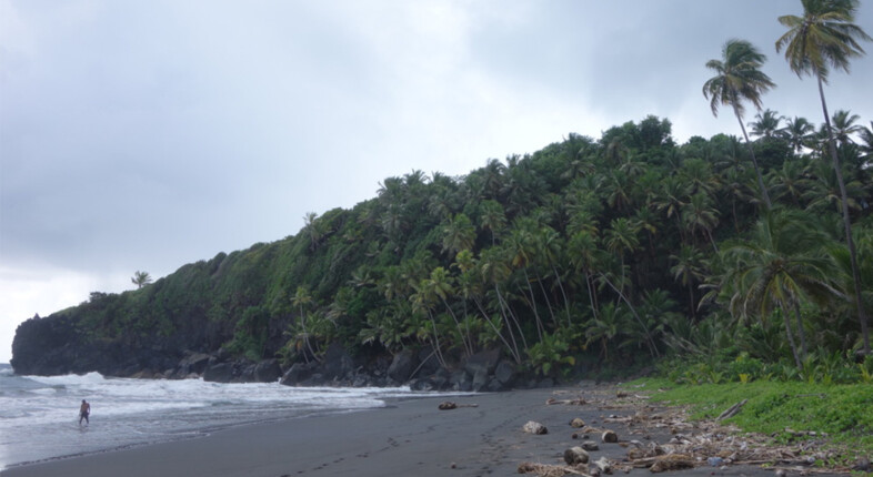 delta st vincent