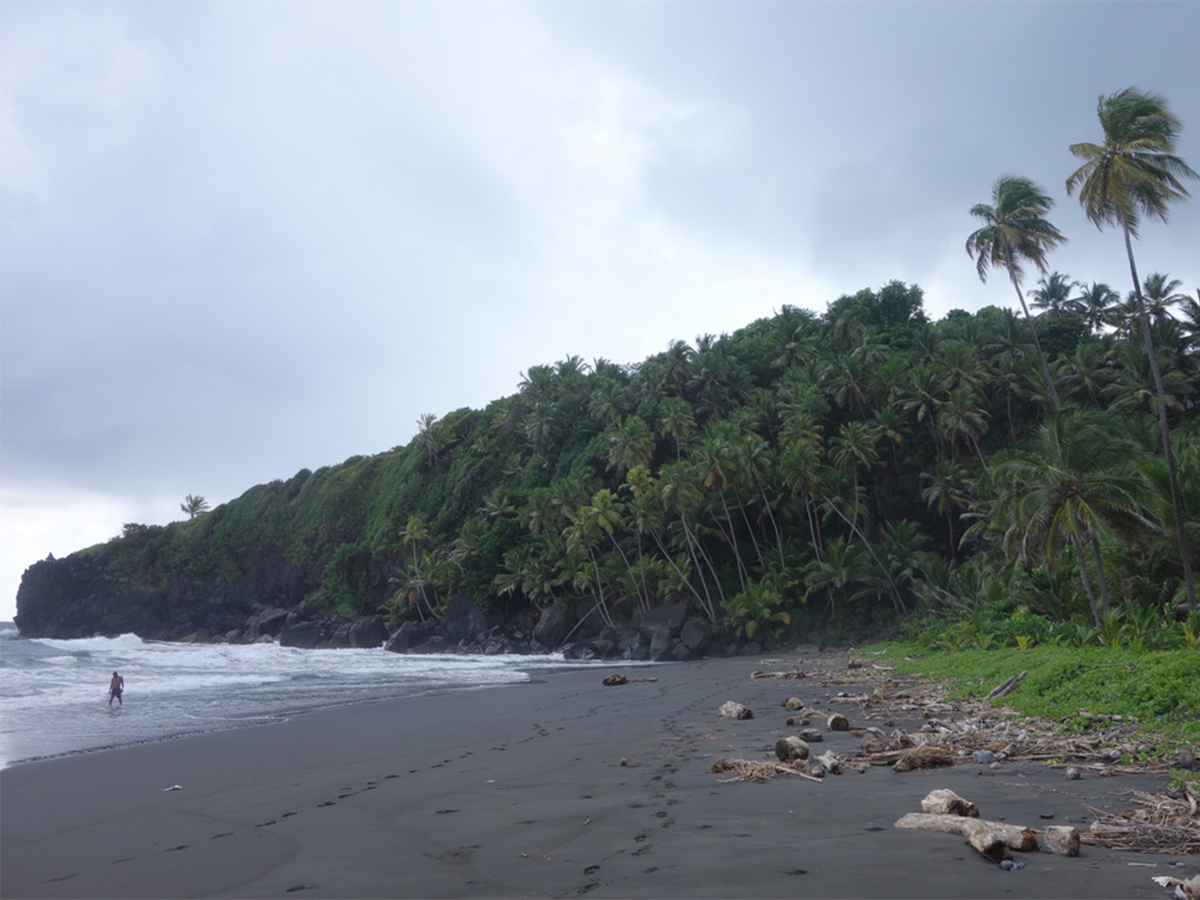 Delta Air Lines Is Canceling Its Flights From Atlanta to This Caribbean Island