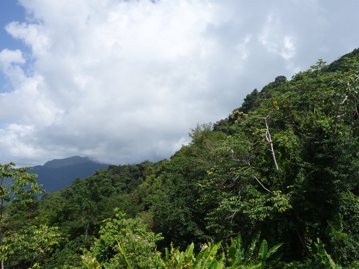 Trinidad, Nature Destination?