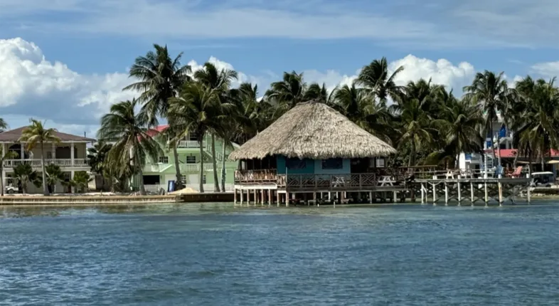 caribbean ambergris caye